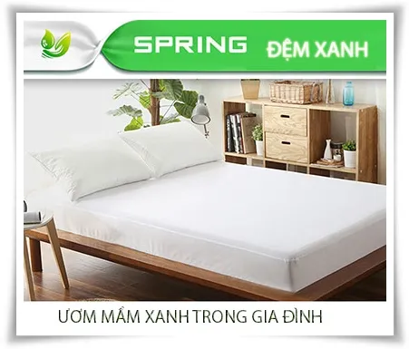 Đệm vì môi trường